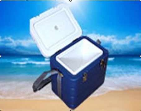 Food Cooler Box